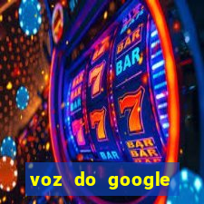 voz do google tradutor homem